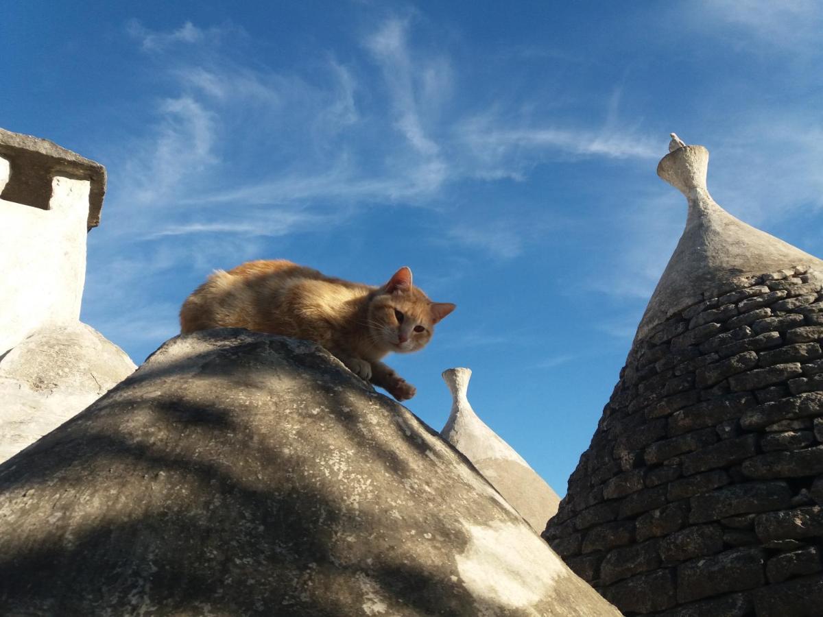 Trulli Di Puglia - Casa Vacanze In Valle D'Itria Martina Franca Eksteriør bilde
